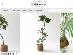 Sites similar to zouka.com