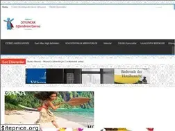 Sites similar to zoyuncak.com