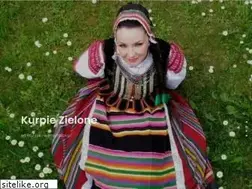 Sites similar to zpit-kurpiezielone.pl