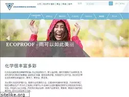 Sites similar to zschimmer-schwarz.cn