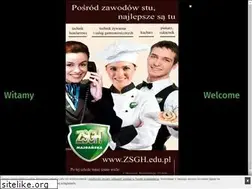 Sites similar to zsgh.edu.pl
