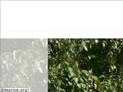 Sites similar to zttim.ru