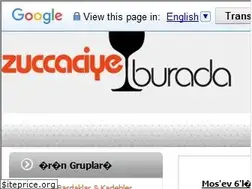 Sites similar to zuccaciyeburada.com