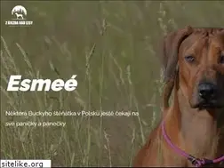 Sites similar to zujezdanadlesy.cz