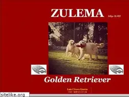 Sites similar to zulemagoldenretriever.com