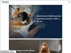 Sites similar to zuprevousa.com