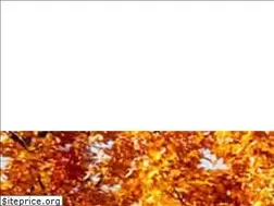 Sites similar to zurek-umzuege.de