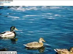 Sites similar to zurichartweekend.com