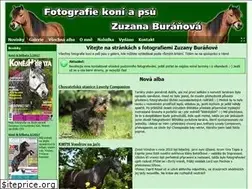 Sites similar to zuzule.com