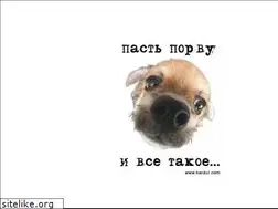 Sites similar to zveruga.ru
