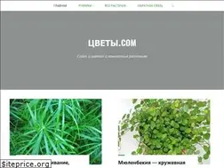 Sites similar to zvety.com