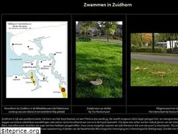 Sites similar to zwammeninzuidhorn.nl