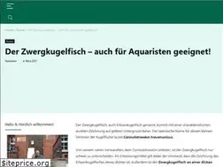 Sites similar to zwergkugelfisch.de